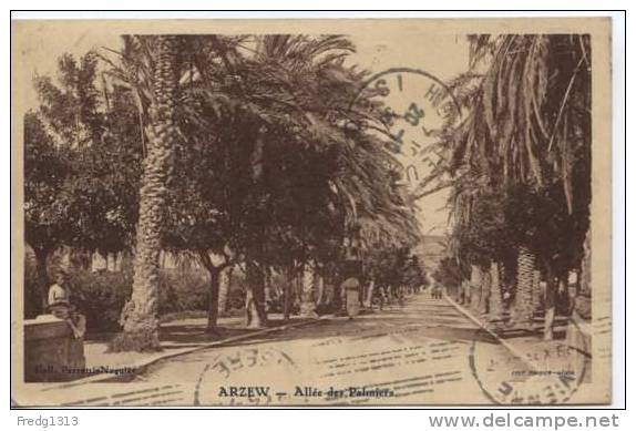 Arzew - Allee des Palmiers