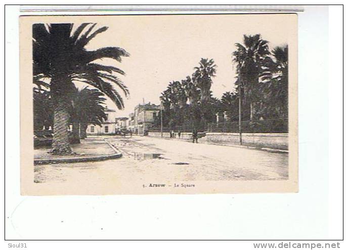 ARZEW - LE SQUARE      CPSM    BE