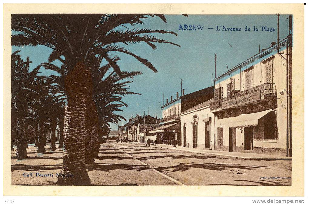 ARZEW - Avenue de la Plage