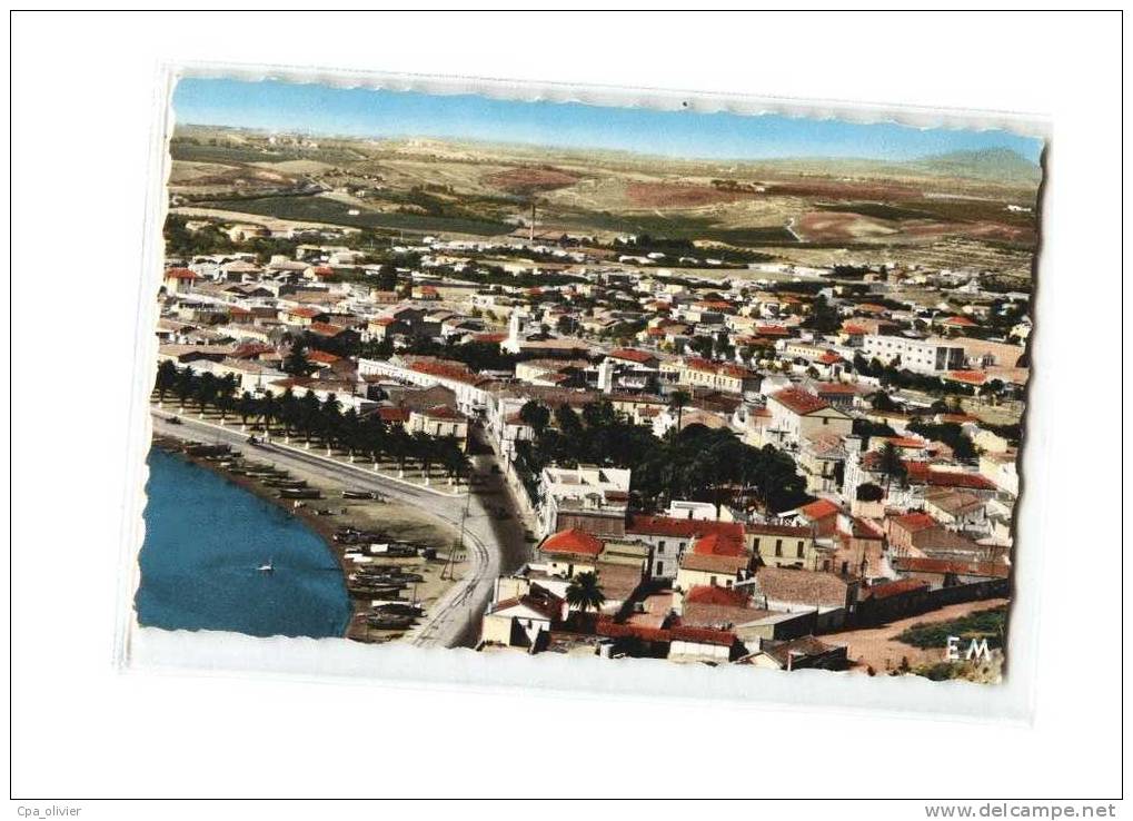 ALGERIE Arzew Vue Générale, ed Combi, CPSM 9x14, 1964