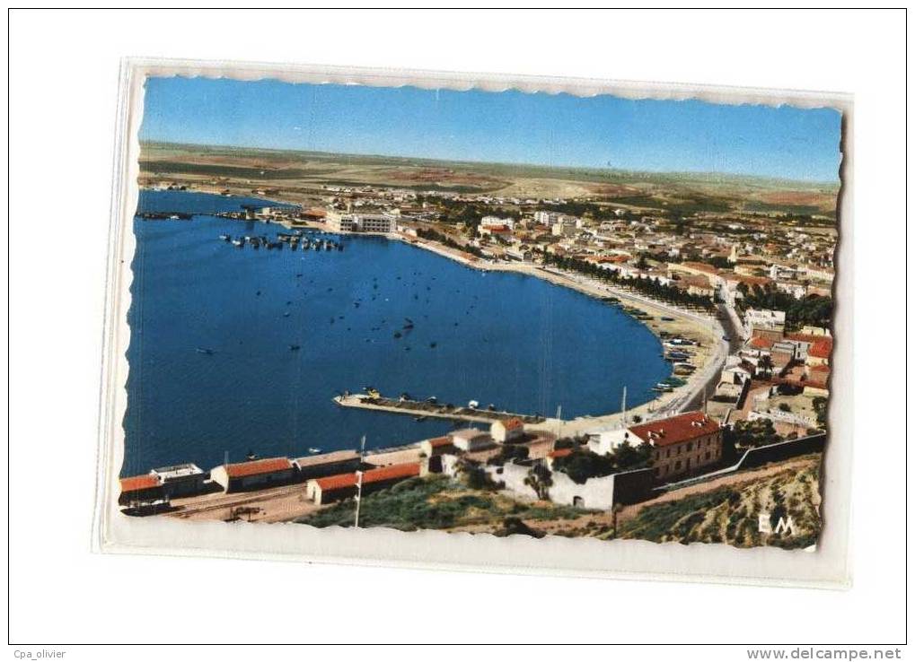 ALGERIE Arzew Port, Vue Générale, ed Combi, CPSM 9x14, 1963
