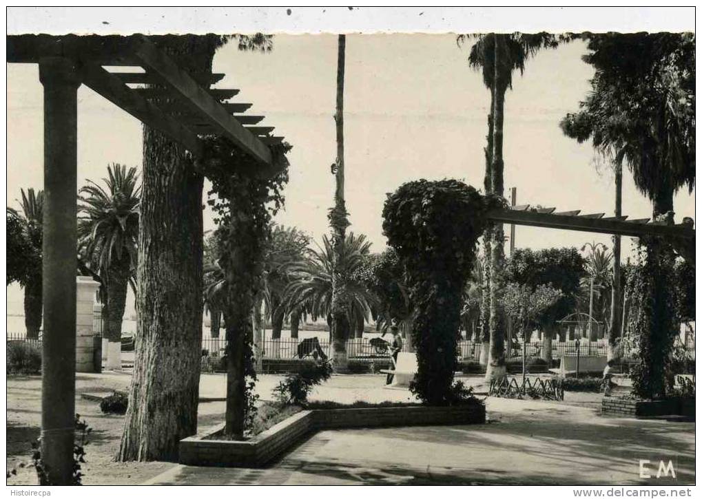 ALGERIE - ARZEW - LE JARDIN PUBLIC