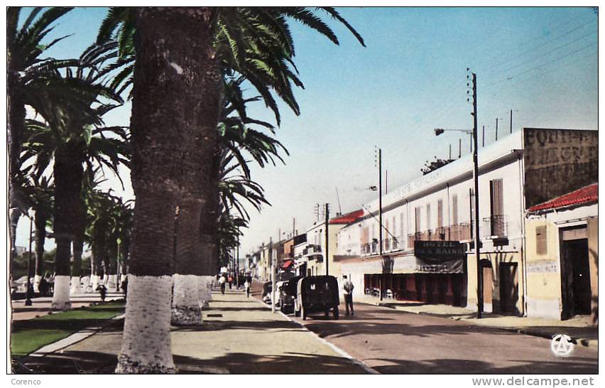 3643  ARZEW   l esplanade     colorisée  écrite