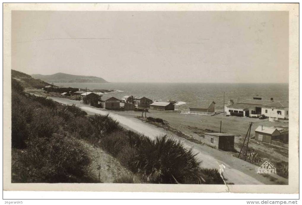 CPSM ARZEW (Algérie) - Fontaine des gazelles et la corniche