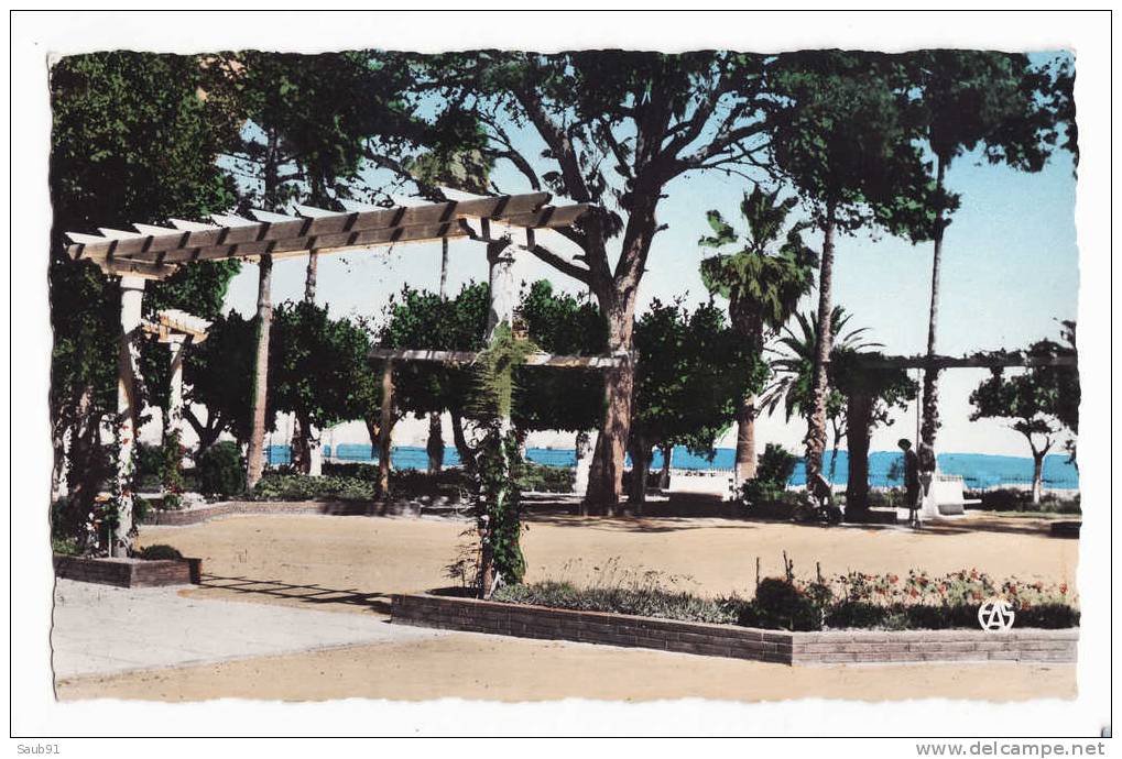 Arzew - Le Square - Sirecky ,Oran - N°3 - Non circulé  - Réf Alg75