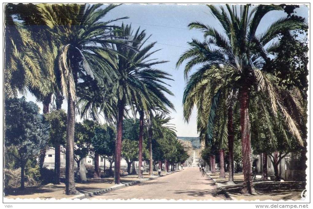 ARZEW - Entrée de la ville - Pas courante !