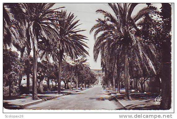 Entrée de la ville ARZEW  Algérie