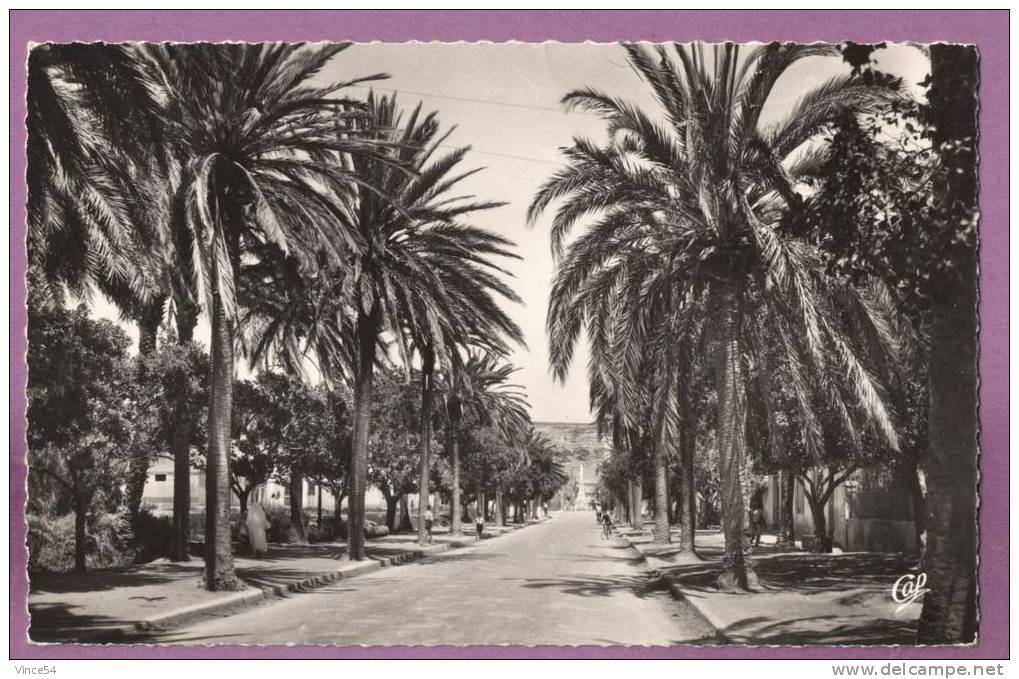 ARZEW - Entrée de la Ville (Petite animation). 1956 Editions REAL-PHOTO. Paris. N° 20