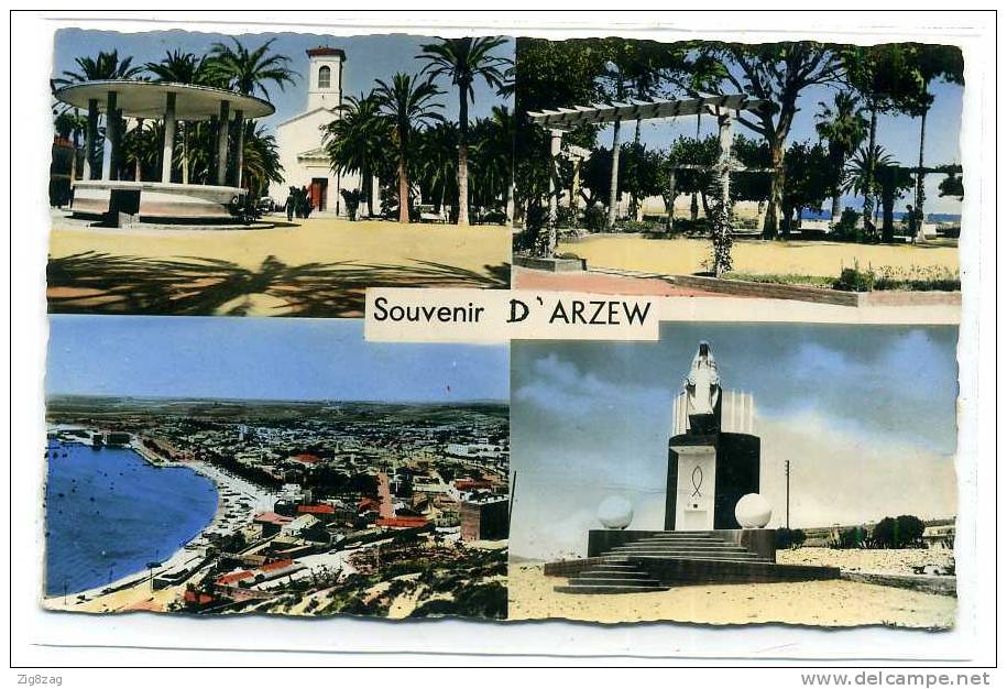 SOUVENIR D ARZEW