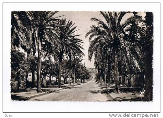 Arzew, entrée de la ville