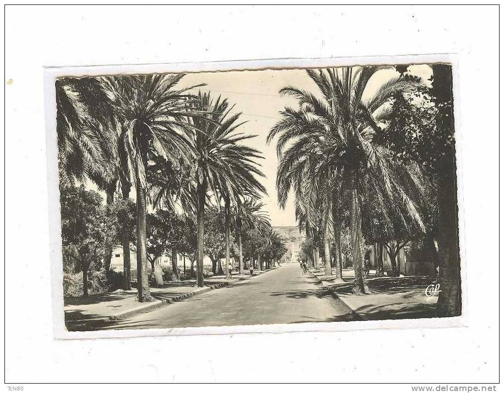 ARZEW_20_ Entrée de la ville