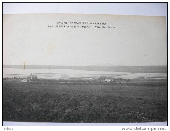 Arzew Salines Sel Etablissements Maletra