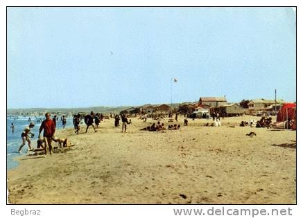 ARZEW         PLAGE DES SABLETTES