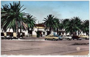 * (ALG)  ARZEW *  VOITURES