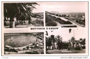 CARTE POSTALE D ARZEW - PLUSIEURS VUES