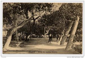 (X-Algérie-5) Arzew. Allée du Jardin Public.