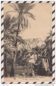 3AC1105 MISSIONS DES PERES BLANCS SAHARA EL GOLEA UN COIN A L'OASIS  2  SCANS