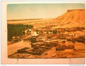 El Goléa - Le Marabout et le vieux Ksar