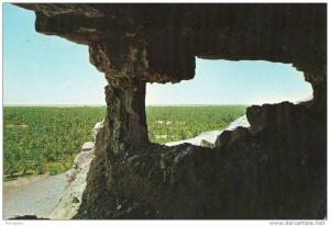 CPA 1196 CPM Algérie - El Goléa - Caprice de la Nature - Voir Scans Recto-Verso