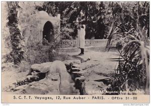 Carte Postale Publicitaire Agence de Voyage - El Goléa ALGERIE - Puits Artésien - S.C.T.T. VOYAGES