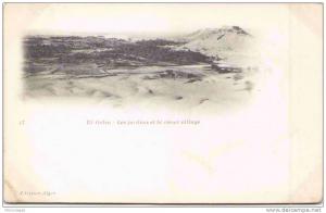 Algérie - EL-GOLÉA - Les Jardins et le Vieux Village