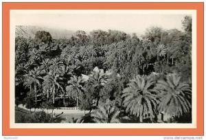 EL GOLEA - Jardins de l' Annexe - Demeure du Chef d' Annexe / Bon état dos vierge