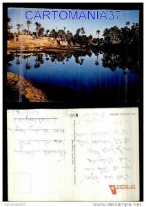 afrique-1356      algerie lac d'el golea