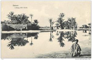 ALGERIE SAHARA  ETANG D´EL GOLEA  El-Menia et Tahoret    COLLECTION AFRICAINE (scan recto verso)