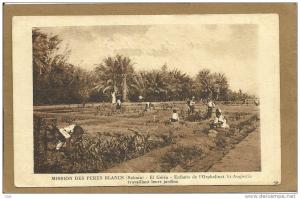 SAHARA   EL  GOLEA   ENFANTS  DE  L ORPHELINAT ..................