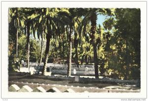 cp, Algerie, El Goléa, Jardins de l'Annexe, Parc aux Gazelles