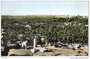 El Golea  palmeraie vue générale