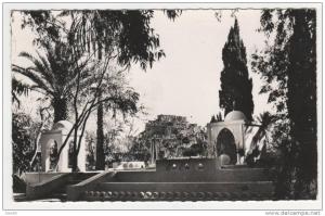 CPSM EL GOLEA ( EL MENIA, EL MENEA ), LE JARDIN DE L'ANNEXE, format 9 cm sur 14 cm environ, ALGERIE