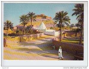 REF23.332    ALGERIE.  EL GOLEA.LE MARABOUT ET LE VIEUX KSAR