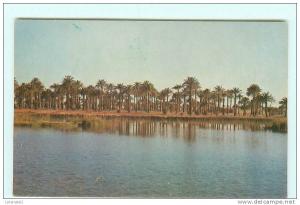 EL GOLEA , El Menia , Le chott