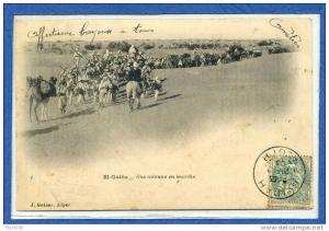 60  1  el goléa  une colonne en marche