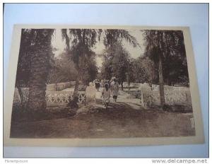 ## ACHAT IMMEDIAT## ALGERIE EL GOLEA LE JARDIN PUBLIC ANIMATION