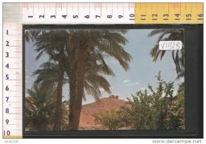 V11328 EL GOLEA TIMBOUZID