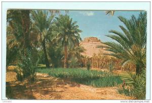 El Menia ,  El Goléa