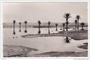 Prix fixe - El Golea - La Sebkha d´El Melah # 10-10/16