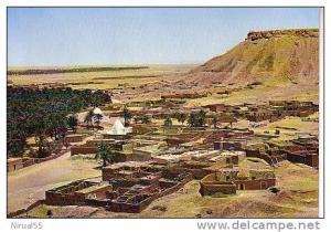 Algérie   EL GOLEA Le Marabout et le vieux Ksar