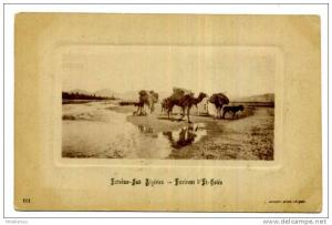 CPA / ALGERIE / ENVIRONS D EL GOLEA