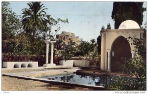 El Golea vieux ksar vu du jardin de l'annexe
