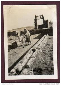 Belle photo ALGERIE 1932 - EL GOLEA - PUITS - HOMME ARABE ET SON ANE