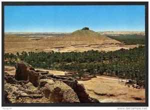 DD / ALGERIE / EL GOLEA / LES OASIS