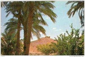 24067    Algeria,  El  Golea,  Timbouzid,  NV