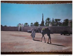 EL GOLEA territoire de ghardaia enceinte du bord