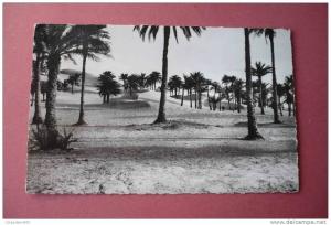 [05642] EL GOLEA - Palmeraie envahie par les Dunes (1955)