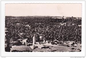 Algérie EL GOLEA Alger Palmeraie Très belle vue générale en 1955
