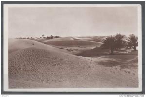 EL GOLEA - Les dunes et type de palmeraie non irriguée - 1939