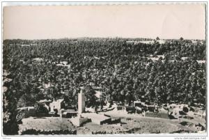 Algérie El Golea Palmeraie Vue générale